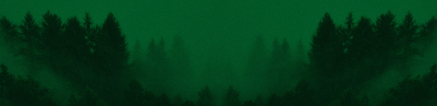 Oregon Ducks marketplace banner