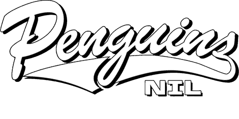 Youngstown State Penguins marketplace banner logo